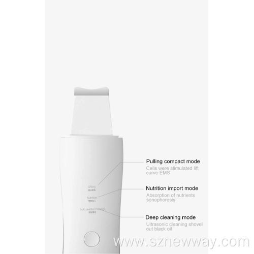 WellSkins Ultrasonic Peeling Machine Facial Skin Scrubber